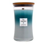 Icy Woodland | Woodwick