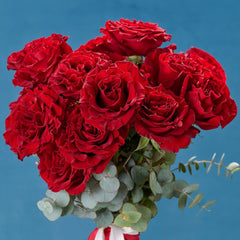 Bunch of red roses