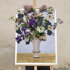 Quadro Spring