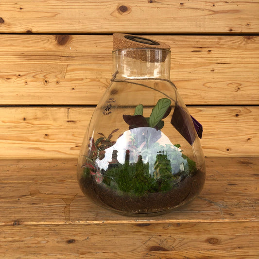 Terrarium 60