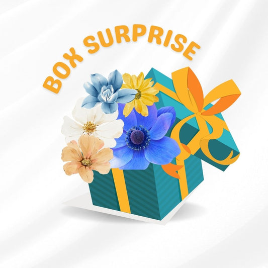 Box Surprise