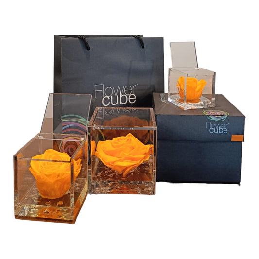 Flower cube Arancione | Rosa stabilizzata