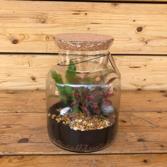 Terrarium mix