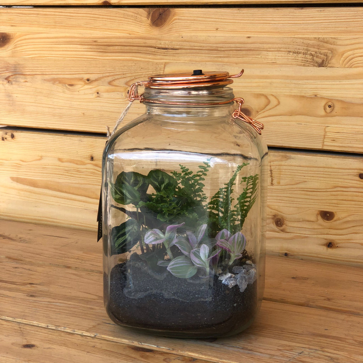 Terrarium barattolo con luce