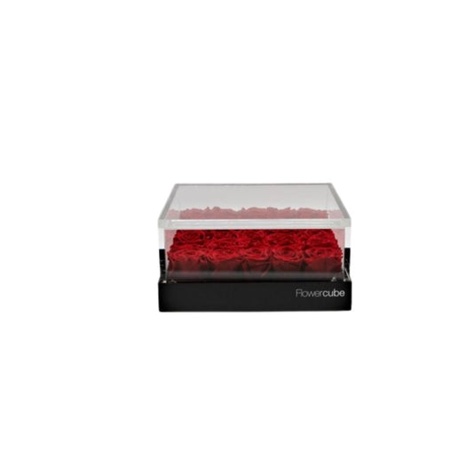 FlowerCube Platinum Edition 25 rose rosse - L'Asso Dei Fiori