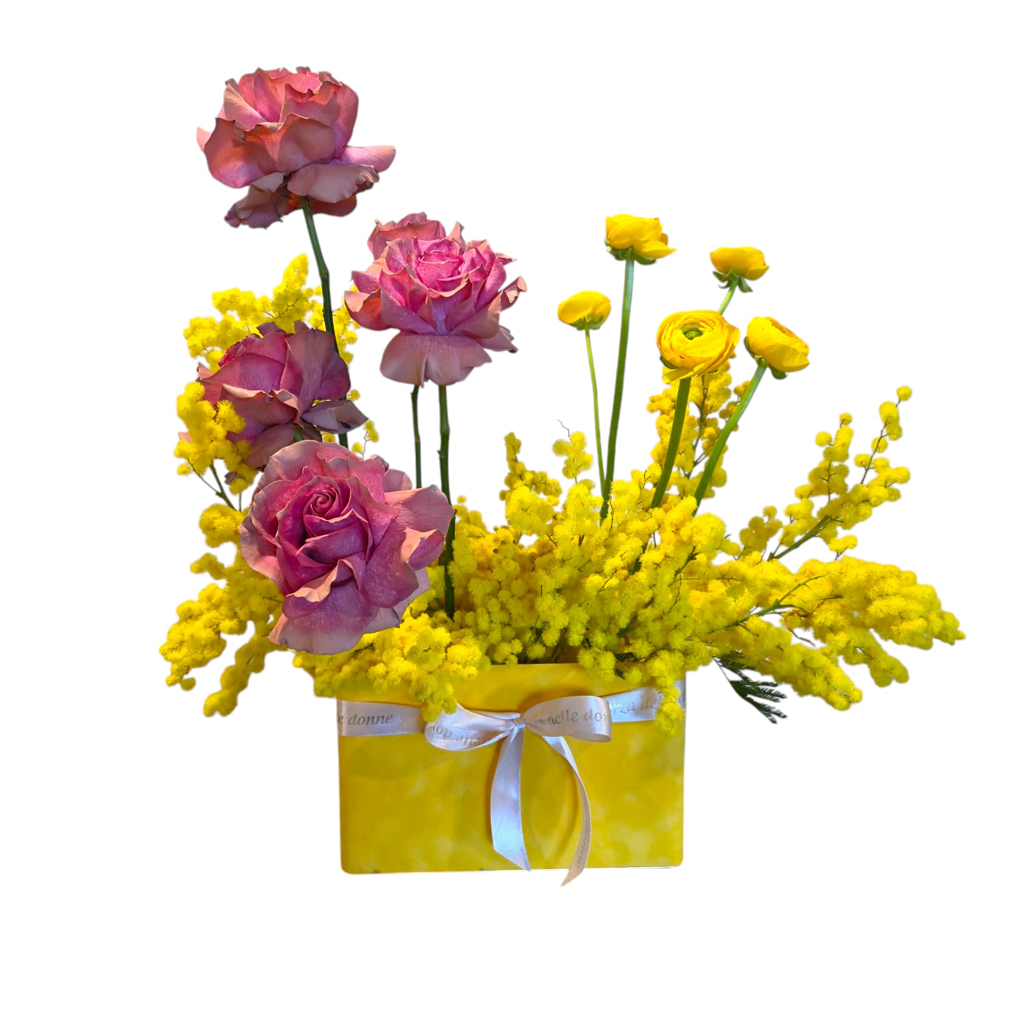 ImmagineWhatsApp2025-03-05ore09.16.19_8baf51dc