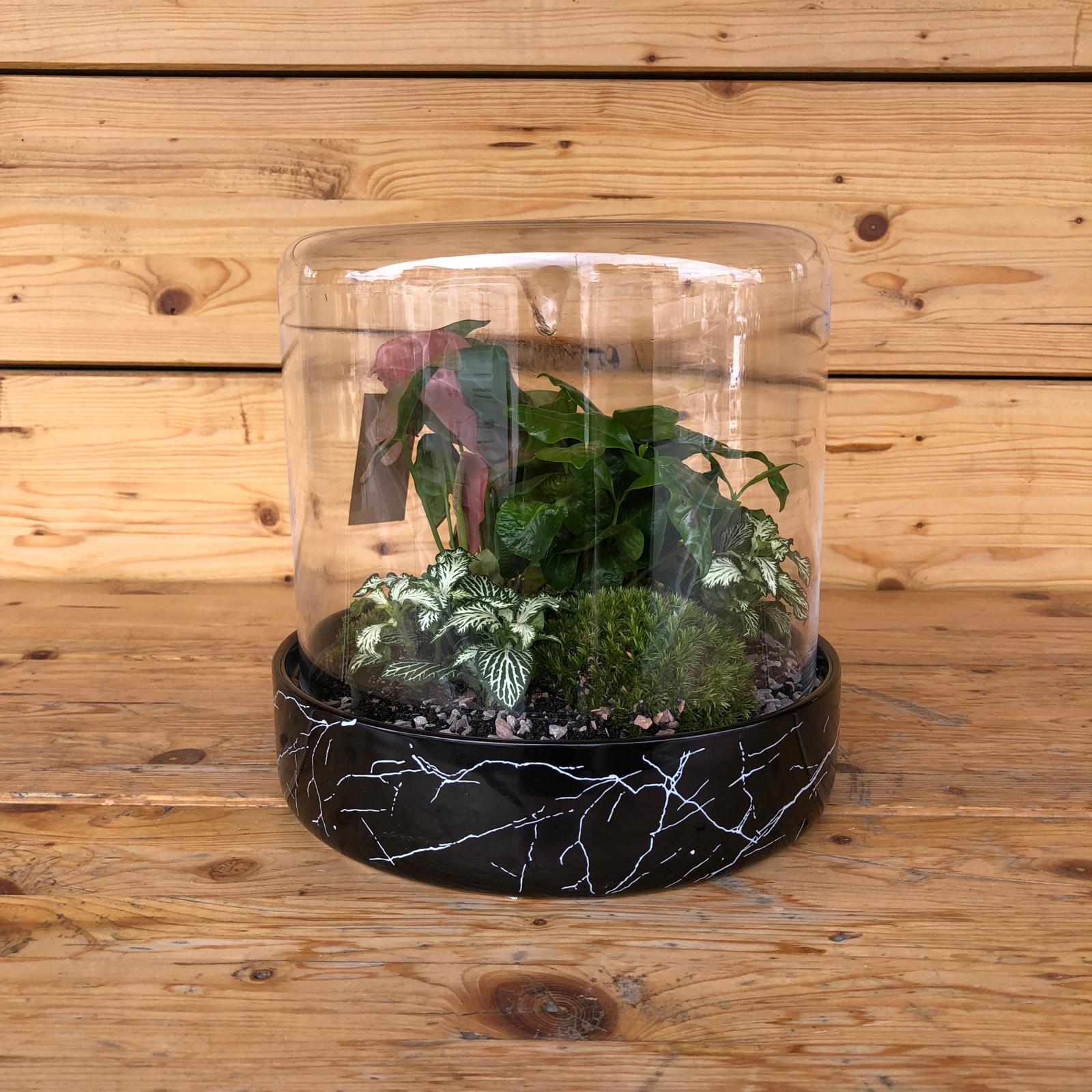 ImmagineWhatsApp2025-04-02ore11.39.26_13a5df00