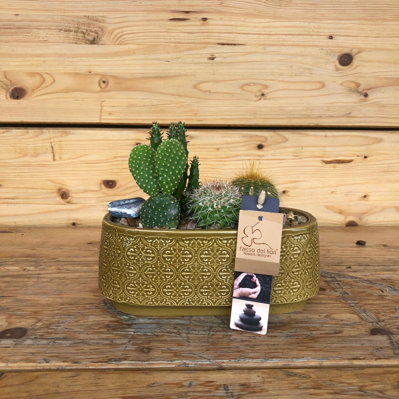 ImmagineWhatsApp2025-06-24ore11.07.17_083eb09d