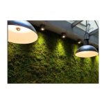 Verdi Stabilizzati | L'Asso dei Fiori