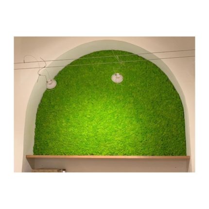 Verdi Stabilizzati | L'Asso dei Fiori