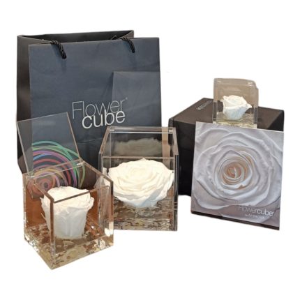 Flower cube Bianca | Rosa stabilizzata