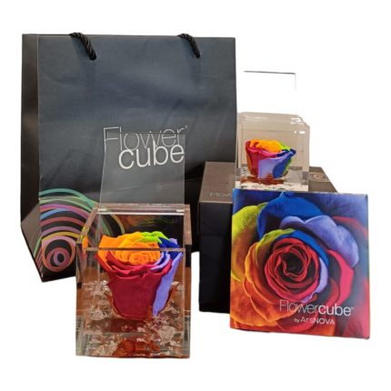Flower cube Multicolor | Rosa stabilizzata
