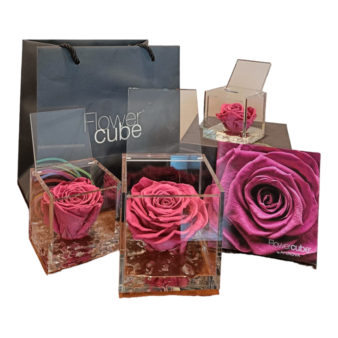RosaRosa Flower cube Rosa | Rosa stabilizzata