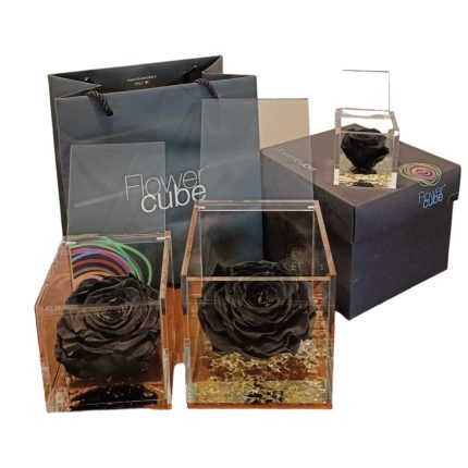 Flower cube Nero | Rosa stabilizzata