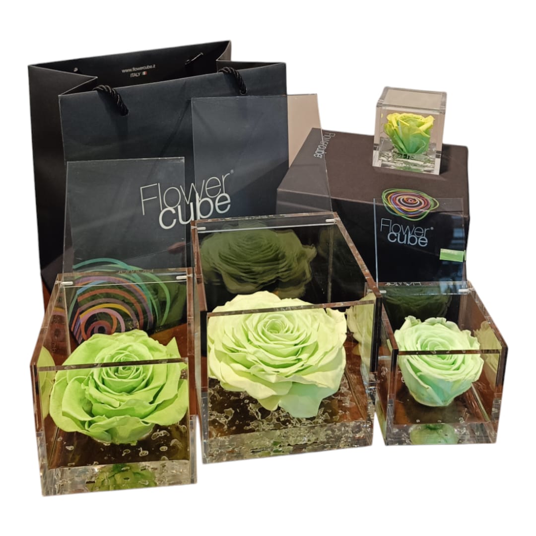 RosaVerde Flower cube Verde | Rosa stabilizzata