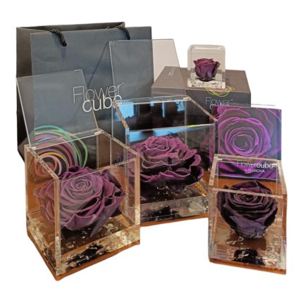 Flower cube Viola | Rosa stabilizzata