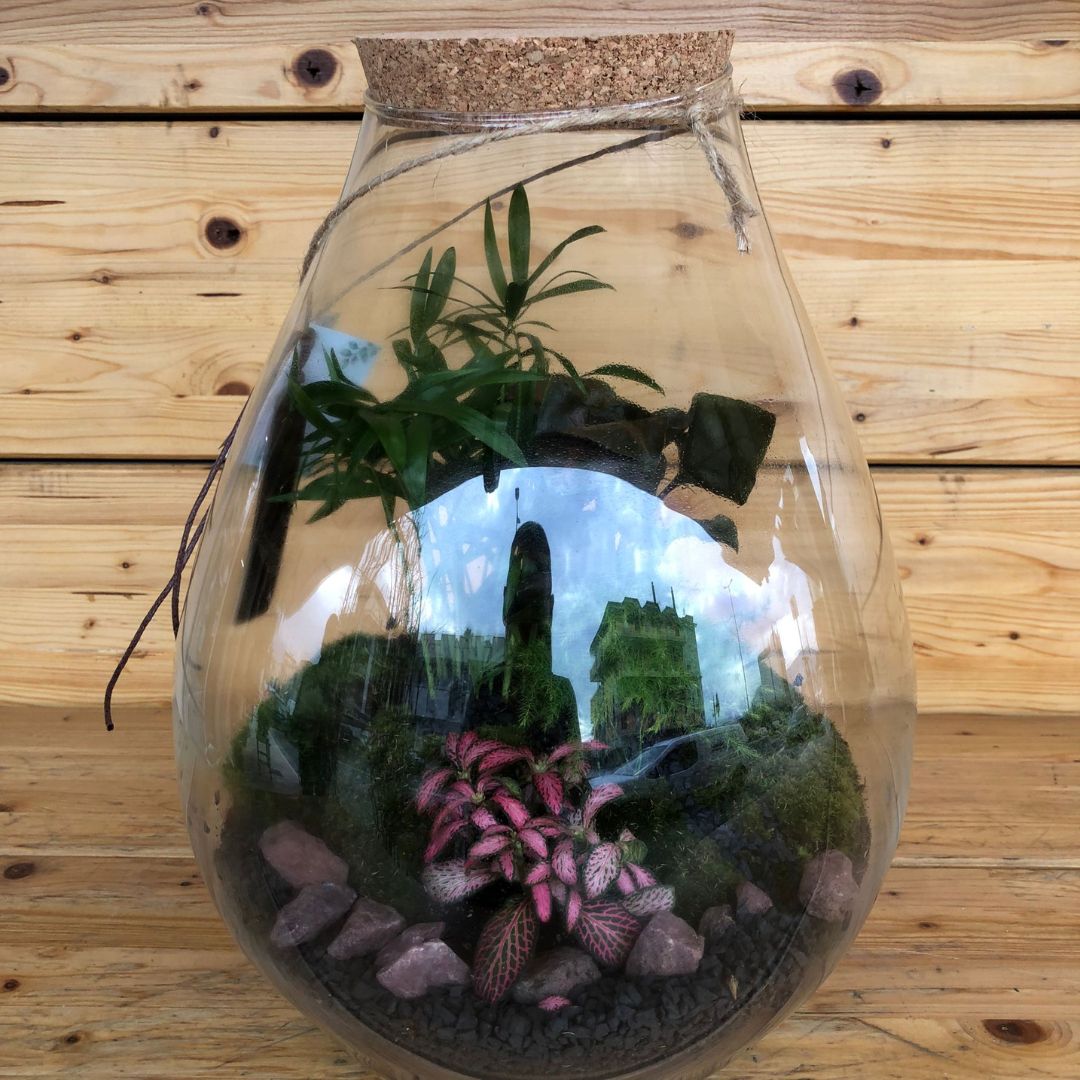 Terrarium4