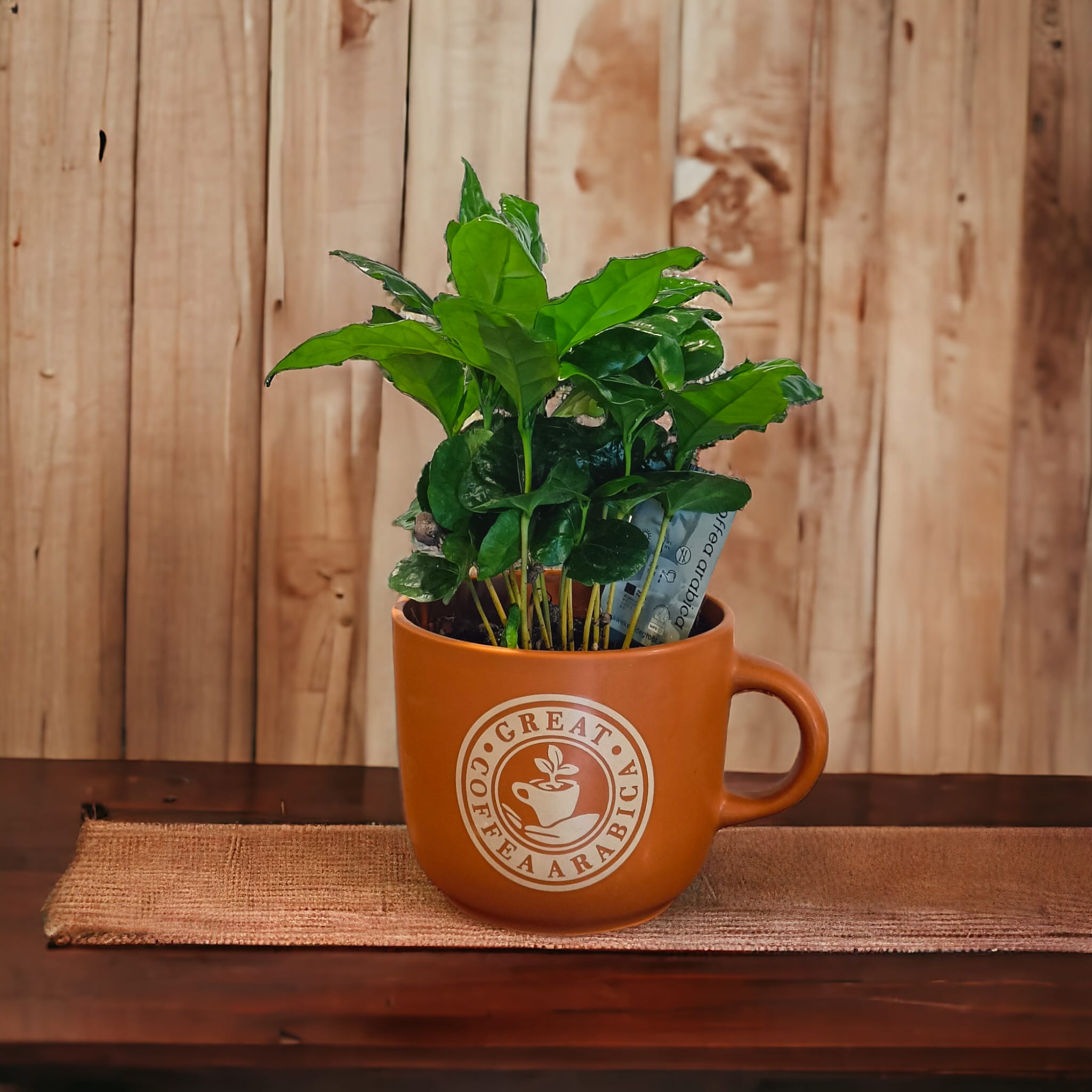 a8f9f0ab-17ac-4bc3-b2f6-287ed8263951-1