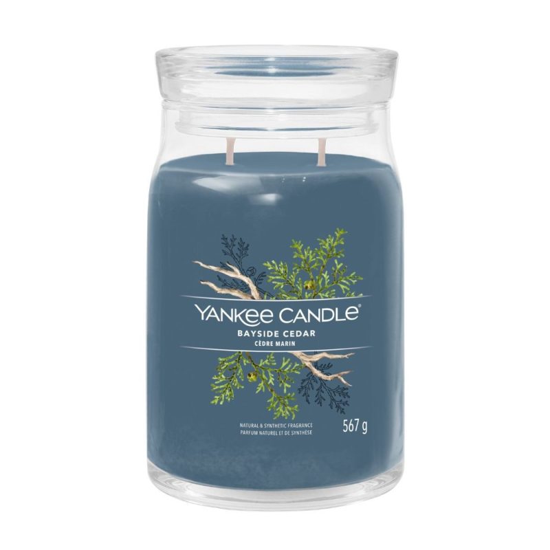 Bayside Cedar | Yankee Candle
