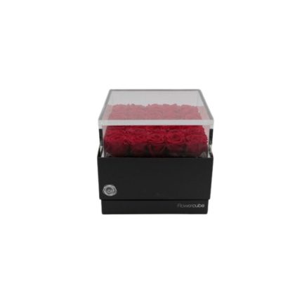 FlowerCube Platinum Edition 25 rose rosse - L'Asso Dei Fiori