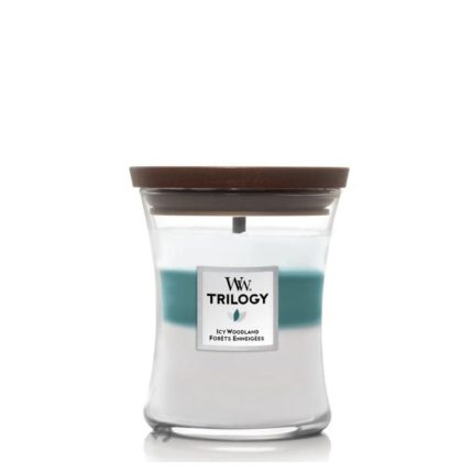 Icy Woodland | Woodwick