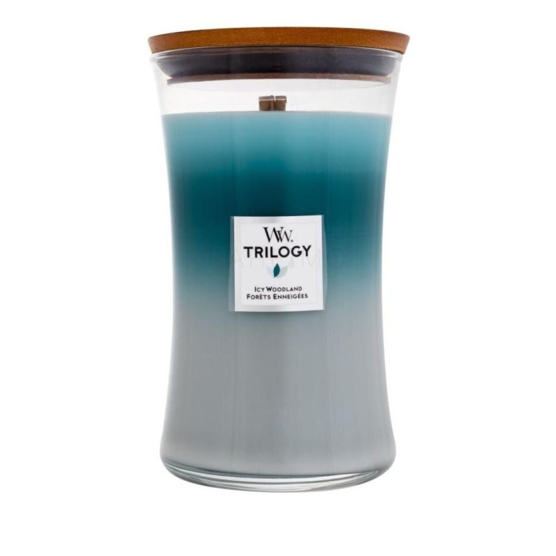 Icy Woodland | Woodwick