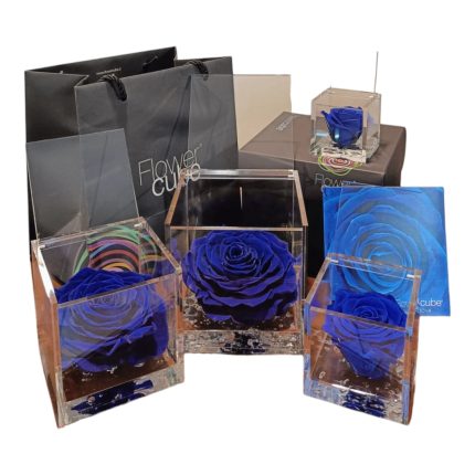 Flower cube Blu | Rosa stabilizzata