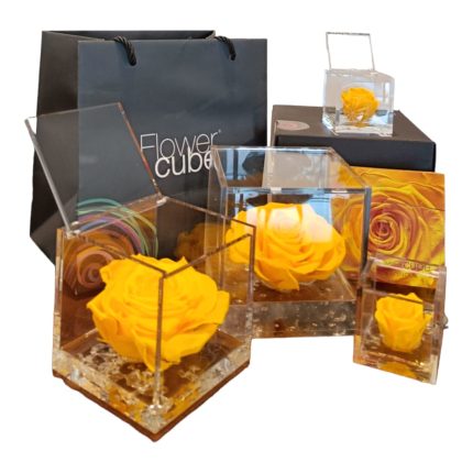 Flower cube Gialla | Rosa stabilizzata