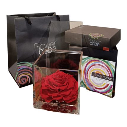 Flower cube Rossa | Rosa stabilizzata