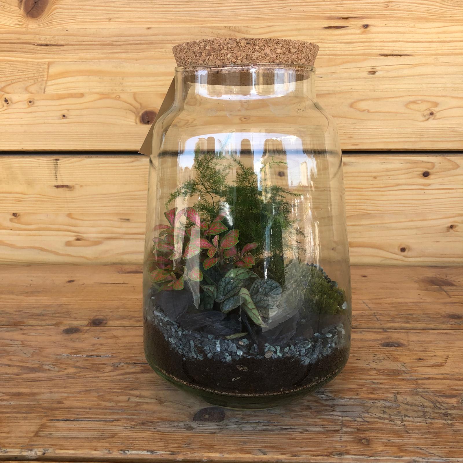 terrariumsprint