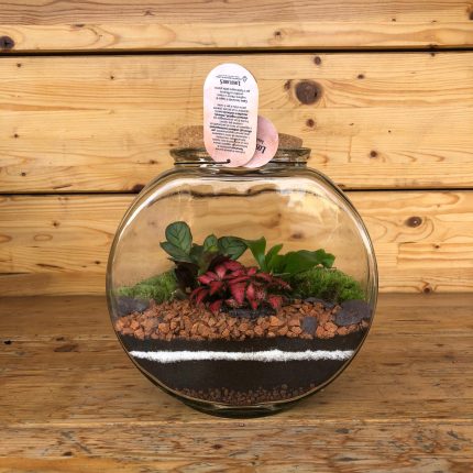 Terrarium